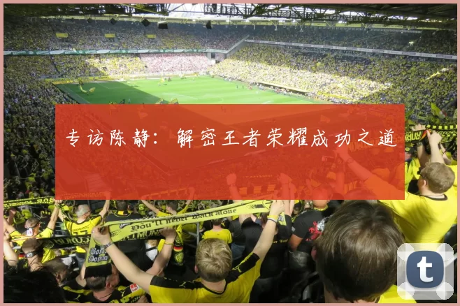 专访陈静：解密王者荣耀成功之道