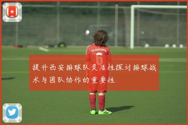 提升西安排球队灵活性探讨排球战术与团队协作的重要性
