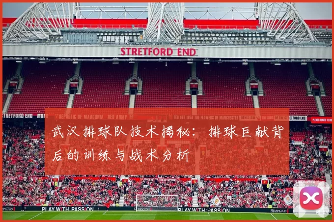 武汉排球队技术揭秘：排球巨献背后的训练与战术分析