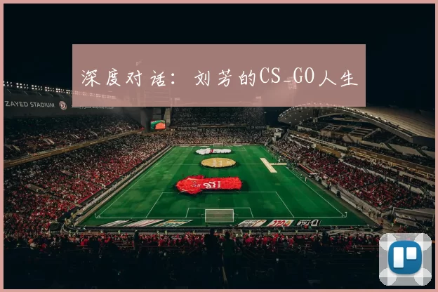 深度对话：刘芳的CS_GO人生